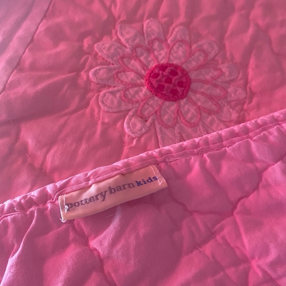 Pottery Barn Floral Garden Quilt & Sham - Picture 10 of 12